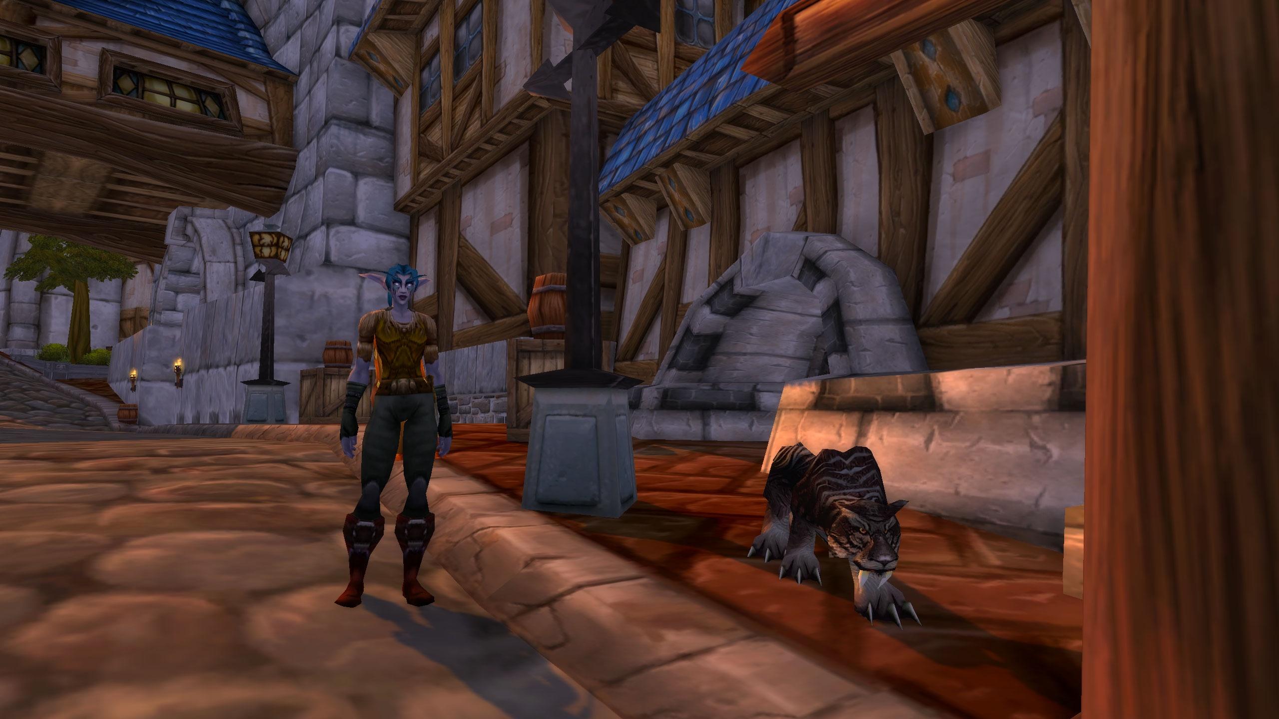 The Stormwind City, Night Elf Hunter and her cat pet