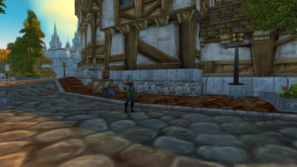 The Stormwind City view